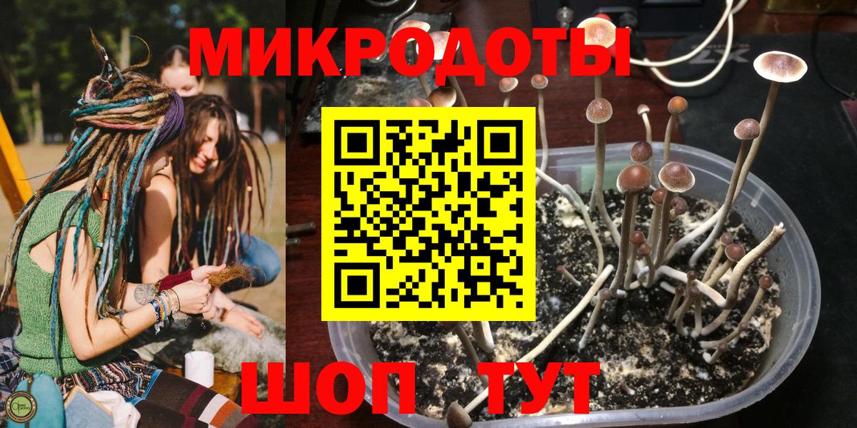 Псилоцибиновые грибы GOLDEN TEACHER  Галлюциногенные грибы GOLDEN TEACHER  Вход с VPN  где найти наркотики  Скопин 